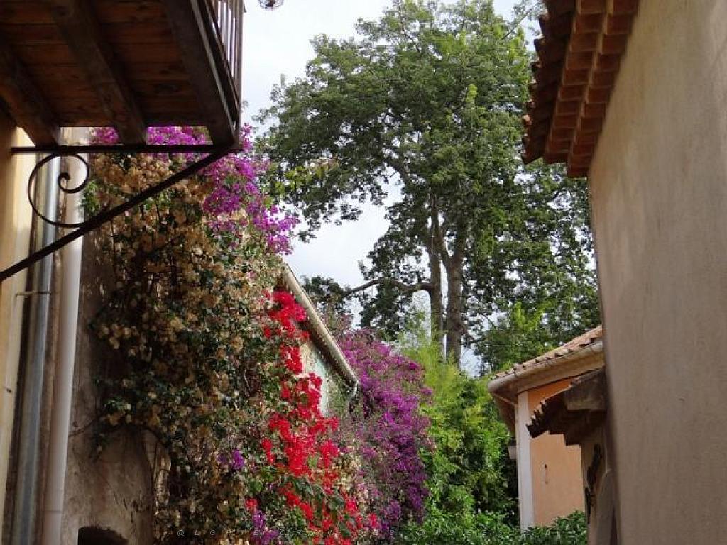 183 D25 BORMES LES MIMOSAS 3_000005.jpg
